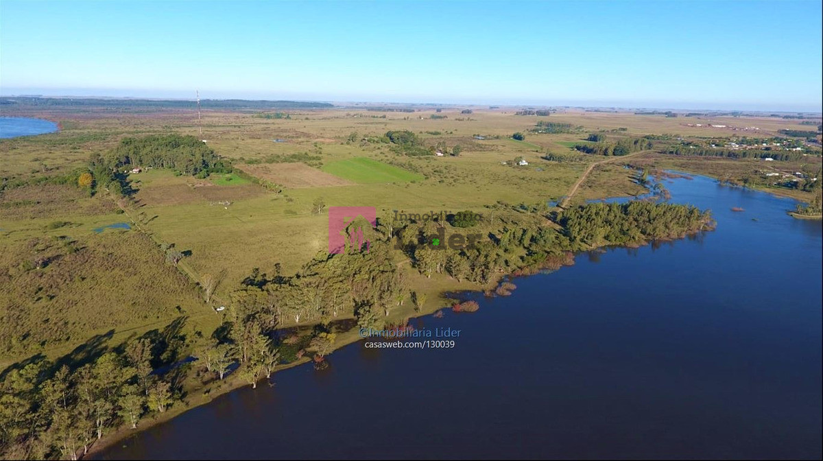 Durazno - GoPunta - Portal Inmobiliario de Punta del Este - Maldonado