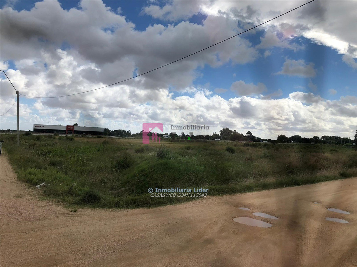 Ciudad del Plata - GoPunta - Portal Inmobiliario de Punta del Este - Maldonado