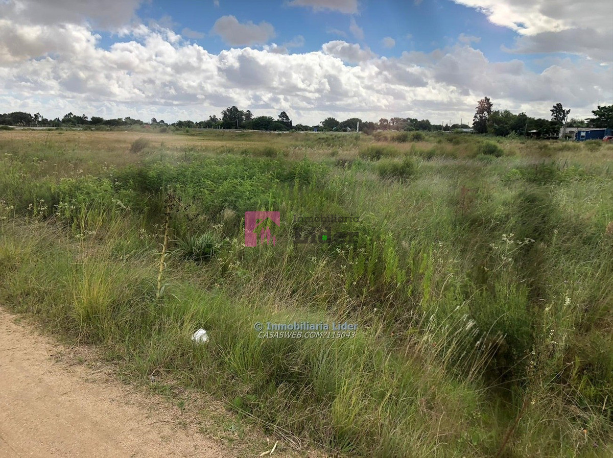 Ciudad del Plata - GoPunta - Portal Inmobiliario de Punta del Este - Maldonado