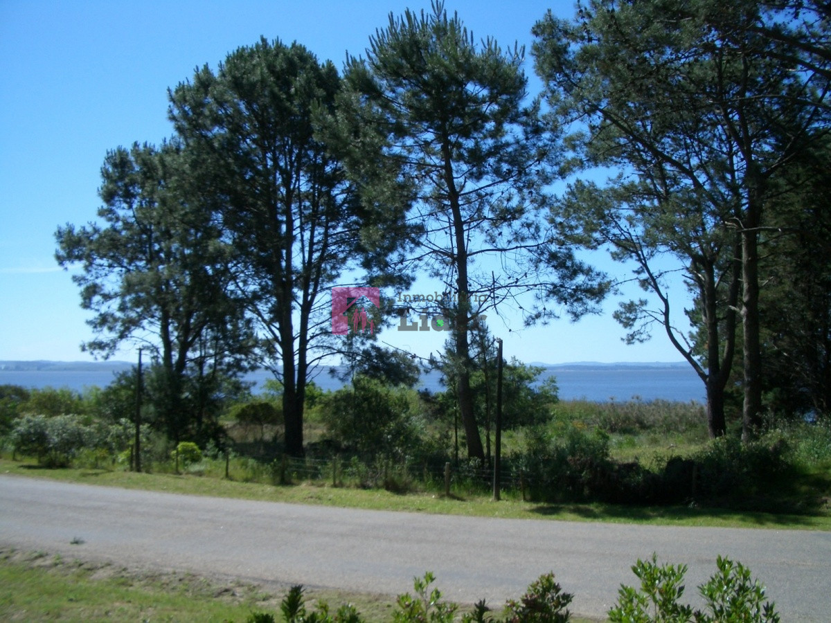 Laguna del Sauce - GoPunta - Portal Inmobiliario de Punta del Este - Maldonado