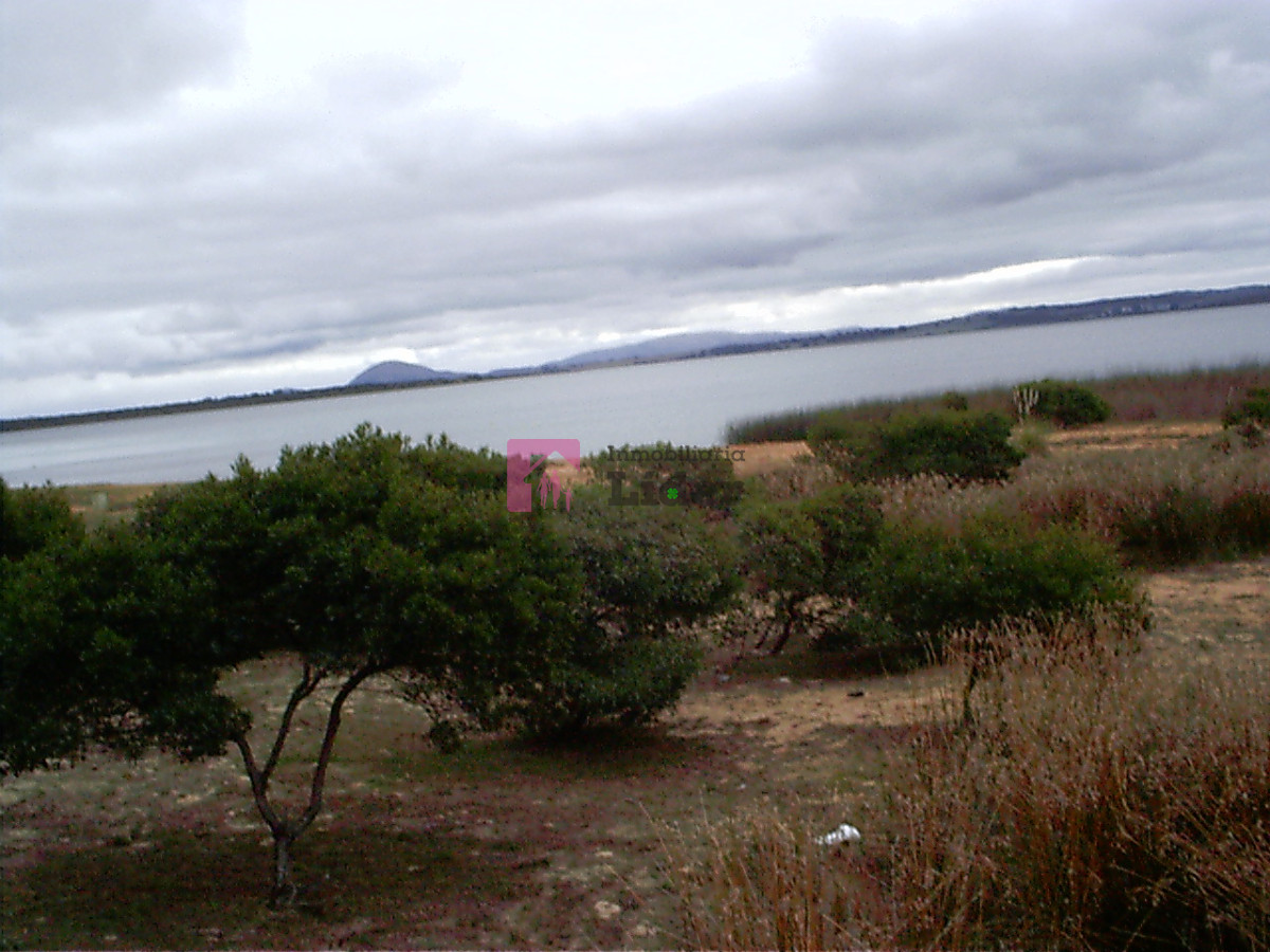 Laguna del Sauce - GoPunta - Portal Inmobiliario de Punta del Este - Maldonado