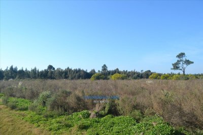 Terreno En Fortín De Santa Rosa
