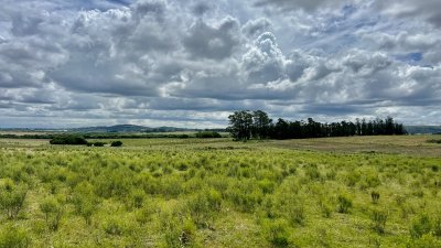 Chacra en venta camino de los ceibos 7 hectareas y media