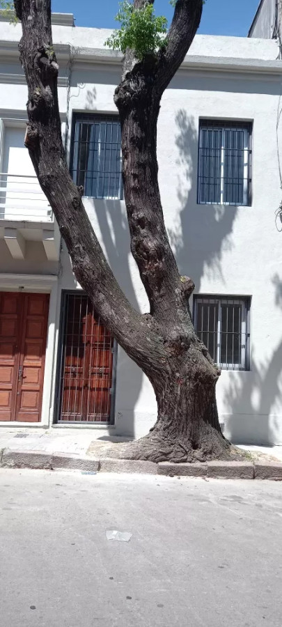 Alquiler De Gran Propiedad Para Vivienda O Depósito En Goes
