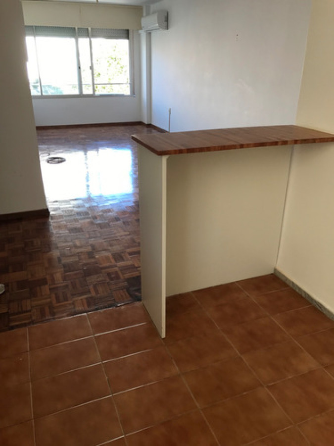 ALQUILER DE HERMOSO MONOAMBIENTE EN PUNTA CARRETAS