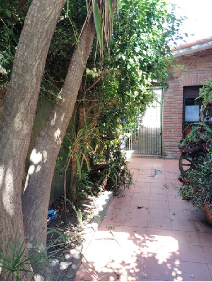 Alquiler De Apartamento De 1 Dormitorio En Carrasco Norte