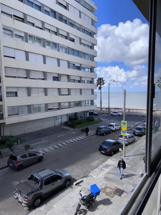 Hermoso Apartamento Monoambiente En Pocitos