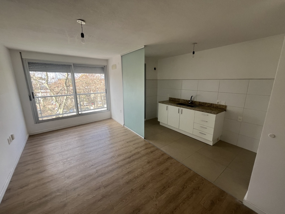 APARTAMENTO 1 DORMITORIO BRAZO ORIENTAL ILUMINADO