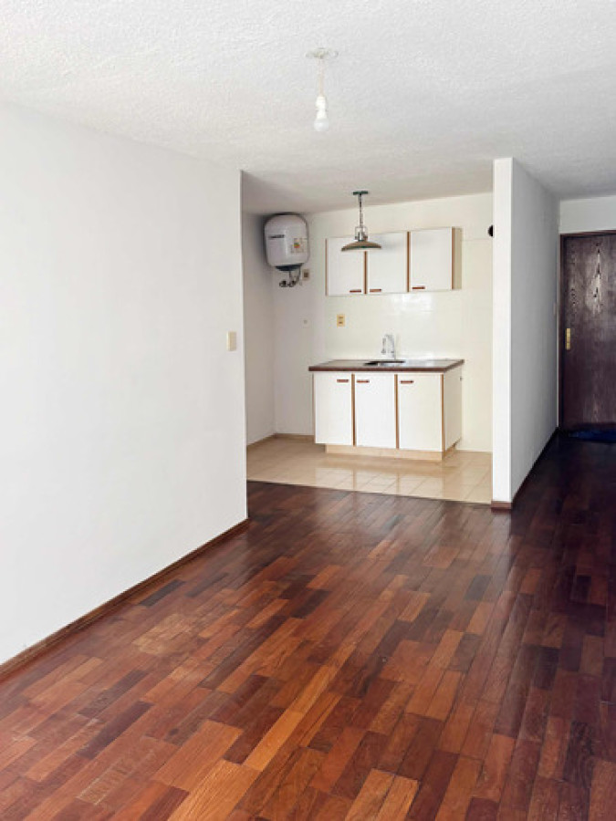 Hermoso Apartamento De 1 Dorm Luminoso