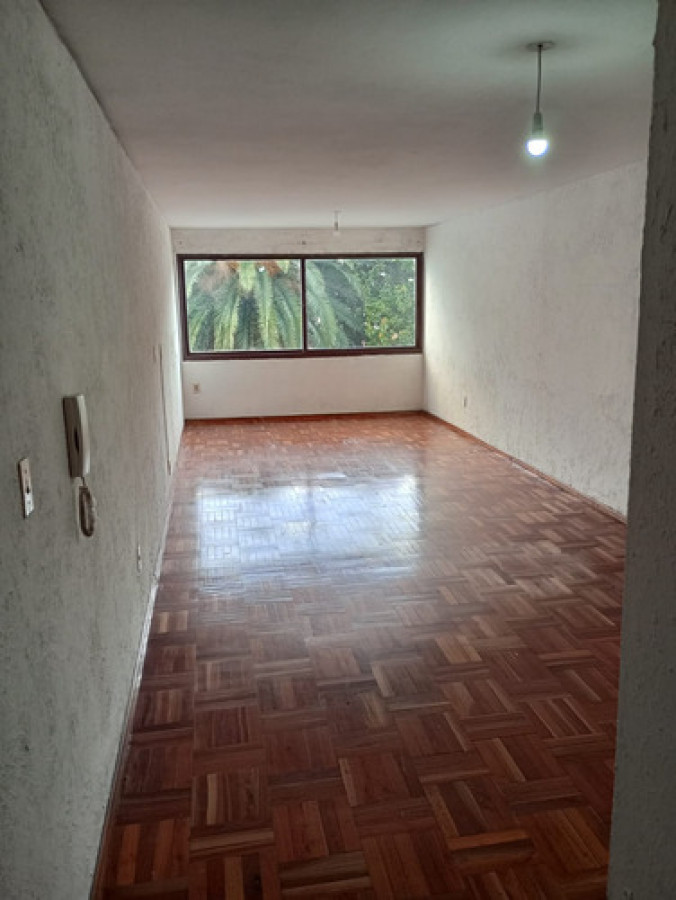 ALQUILER DE ACOGEDOR MONOAMBIENTE EN CORDÓN