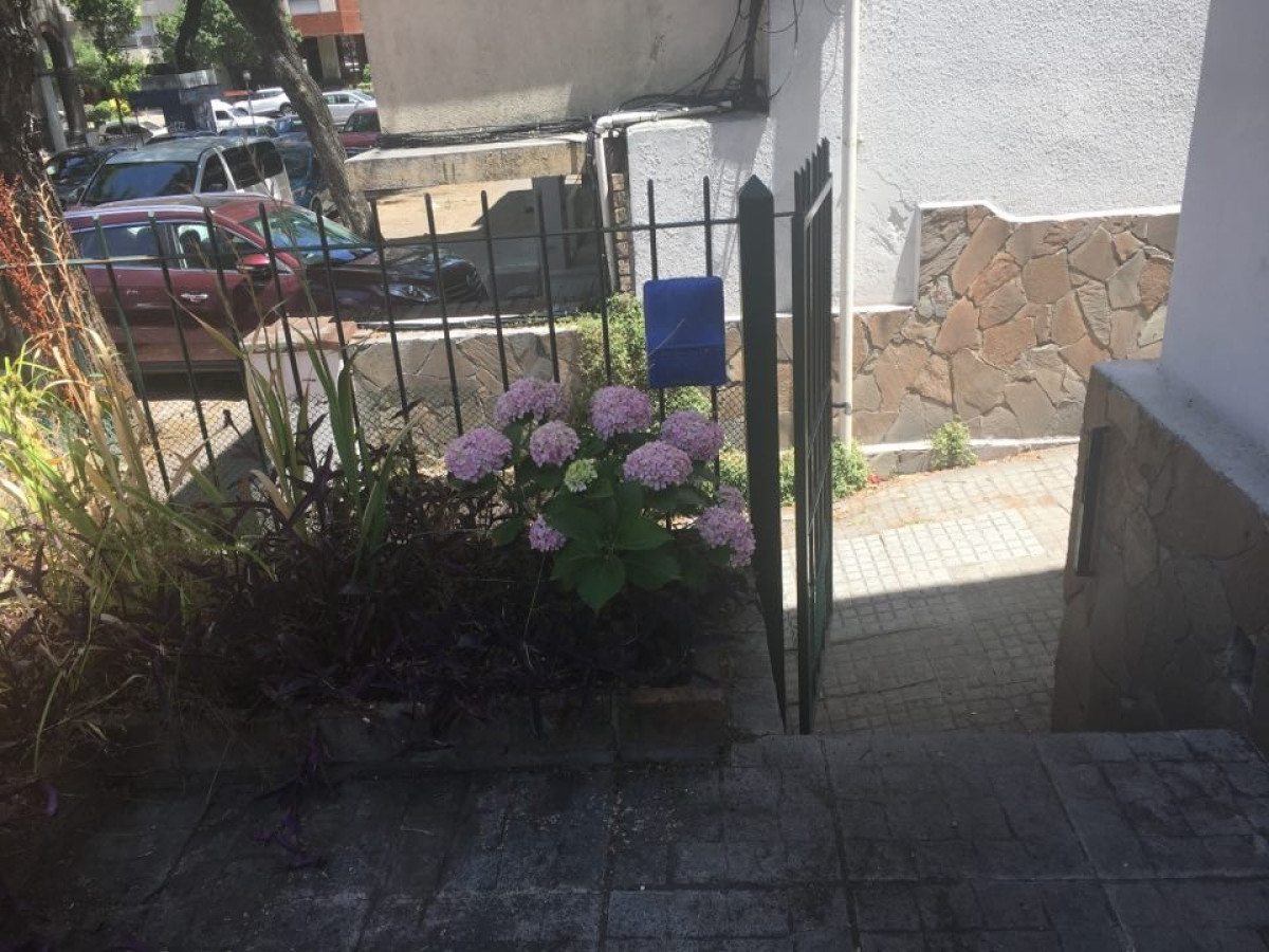 Alquiler de casa 3 dormitorios en Pocitos