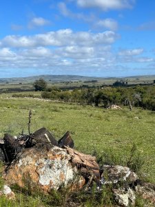 Chacra de 4,5 has en venta con tajamar y construcciones en Paso Dutra. 