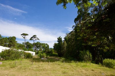 Vendo lote de 1600 mts en Parque Burnett. 20 frente x 80 fondo