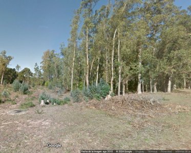 Vendo lote de 1600 mts en Parque Burnett. 20 frente x 80 fondo