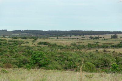 APTO 