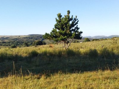 linda cadsa en carrasco 