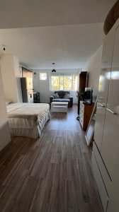 Alquiler monoambiente en Buceo