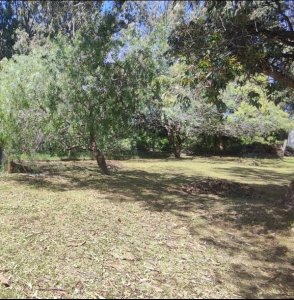 Venta terreno en balneario Las Flores