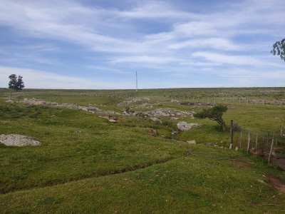 Chacra de 11 Hectáreas con casa de 2 Dormitorios en Pan de Azúcar C819