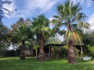 Se vende 30 has con casa a 3 km de Garzón.