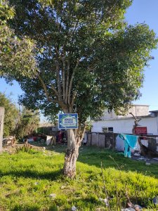 Terreno San Carlos, excelente ubicación 