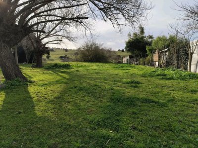 Terreno en Pan de Azúcar de 520 m2