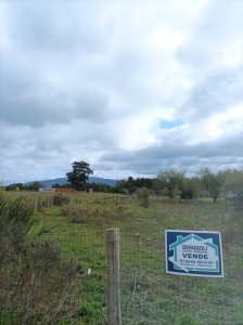 TERRENO PEGADO A LA TERMINAL DE OMNIBUS - PAN DE AZUCAR
