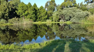 Chacra de 6.26 Hectáreas en José Ignacio: Ubicación Privilegiada con Casa de Personal