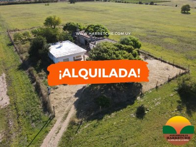 Alquilo casa quinta en Progreso, 3 dorm, galpones, hermoso entorno! 