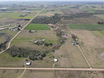Chacra en venta Los Cerrillos, 1 has con casa de dos dormitorios
