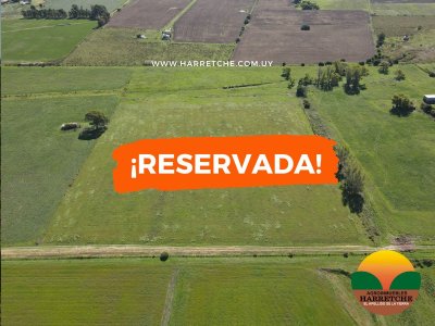 Chacra en Los Cerrillos, 5.4 has con cañada, predio alto y limpio, dueño financia!