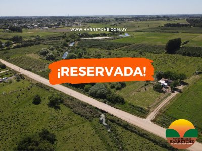 Chacra en Los Cerrillos, 4 has con casa, galpón, arroyo!