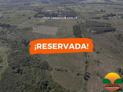 12.8 has en Paso del Andaluz, a metros de ruta perimetral. 