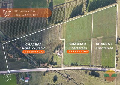 Chacra de 3 has en Los Cerrillos, hermoso entorno!