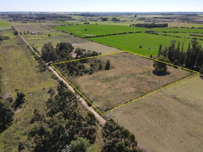 Chacra de 2 has en Los Cerrillos, zona alta, hermoso lugar!