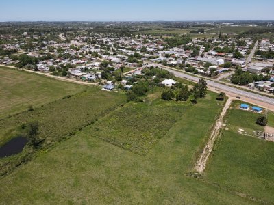 Terreno de 8000 m2 en Progreso, ideal fraccionamiento.