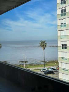Alquiler Loft Monoambiente Con Garage Punta Carretas