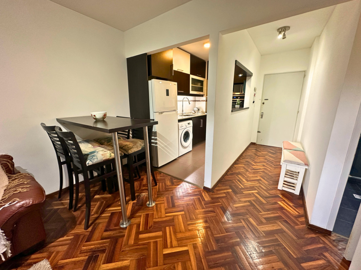 Alquiler Apartamento 1 Dormitorio Amoblado Totalmente Pocitos Montevideo
