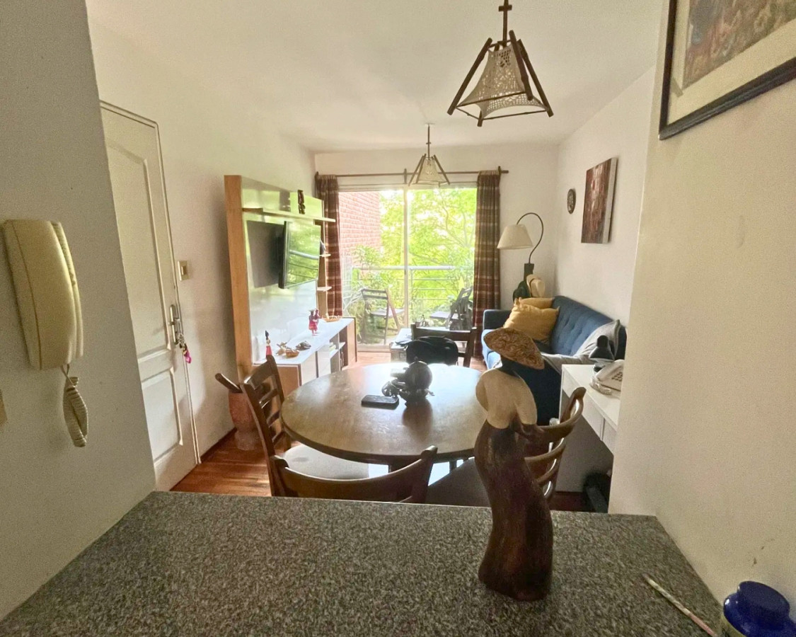 Alquiler Apartamento 1 Dormitorio Punta Carretas Montevideo