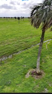 Venta Campo Rincón Bravo, Río San Luis Rocha Uruguay
