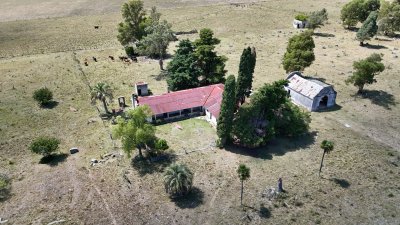 Venta Establecimiento Productivo 135has Capilla del Sauce Departamento de Florida