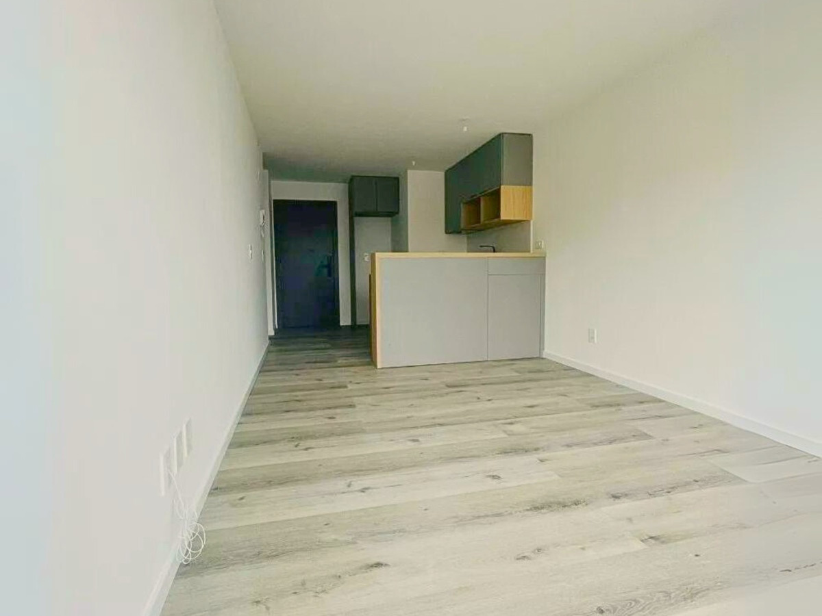 Alquiler Apartamento 1 Dormitorio More Buceo Montevideo