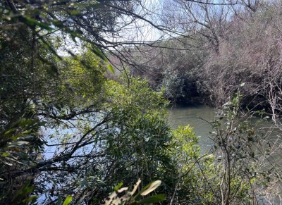 Campo de 11 hectáreas con costa sobre Arroyo Maldonado y gran potencial turístico