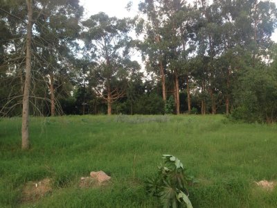 Terreno En Venta en Barrio Privado de Punta del Este