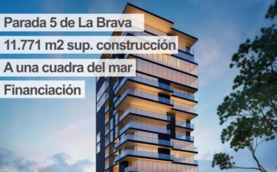 Carlos Vaz Importante y Destacado Terreno Ferreira Y Biarritz