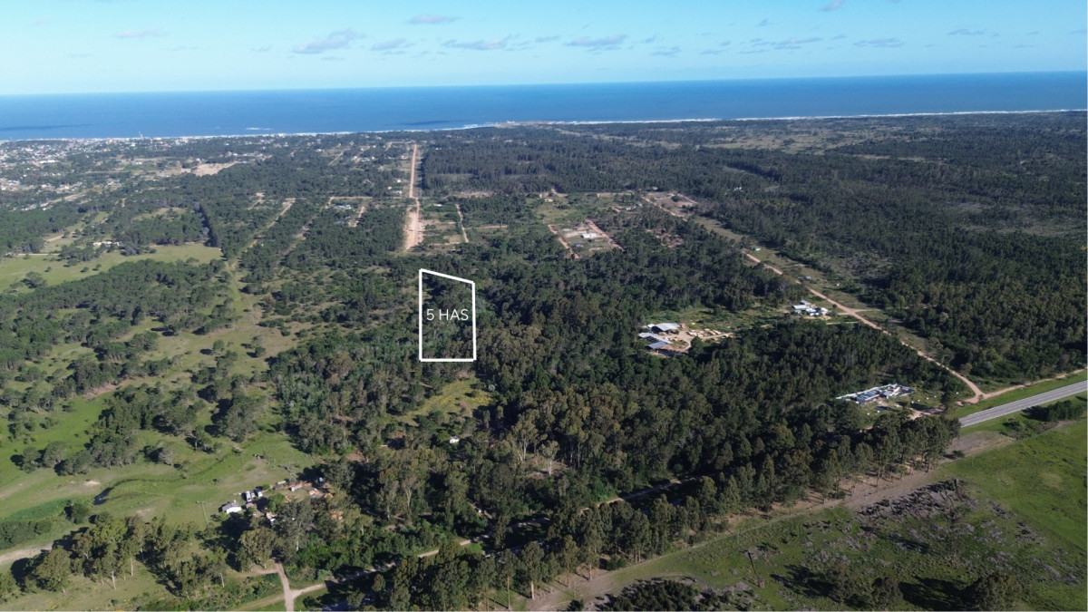 Oportunidad exclusivas 5has en Punta Del Diablo