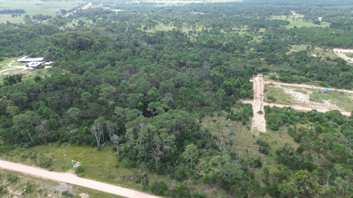 Chacra de 5ha en Punta del Diablo - Uruguay
