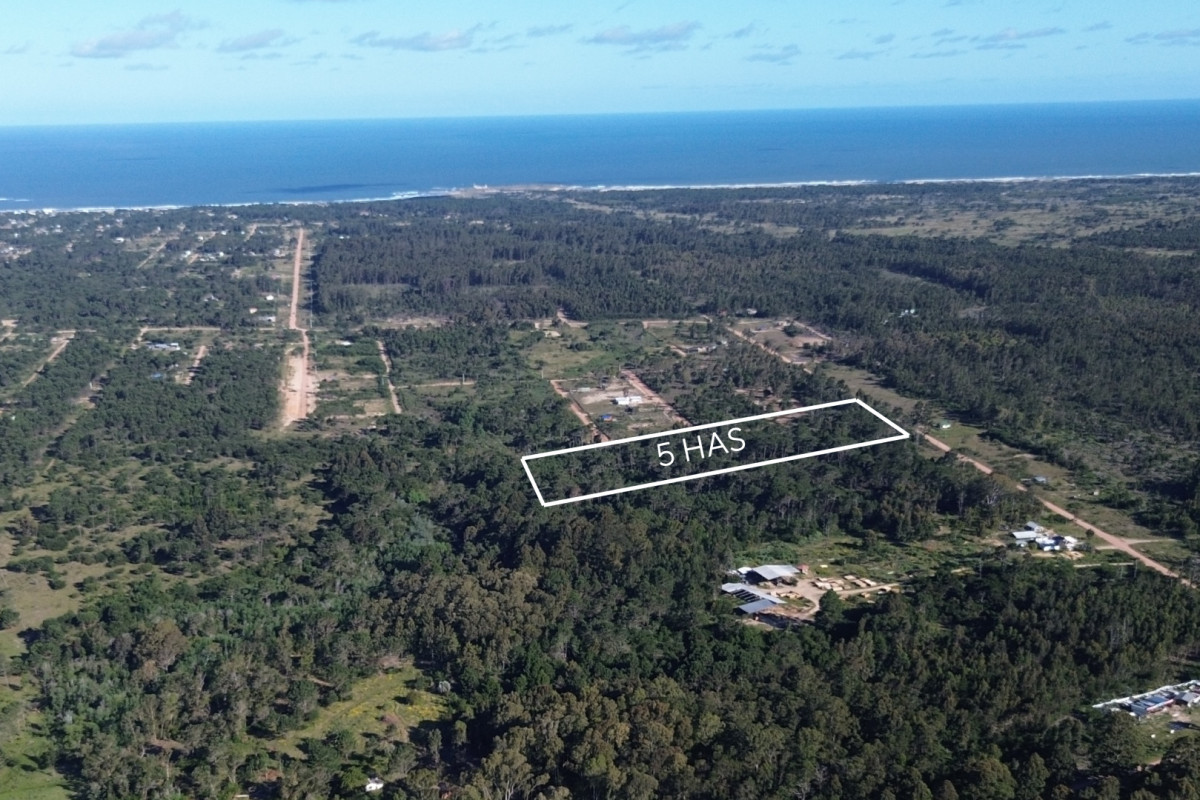 Chacra de 5ha en Punta del Diablo - Uruguay