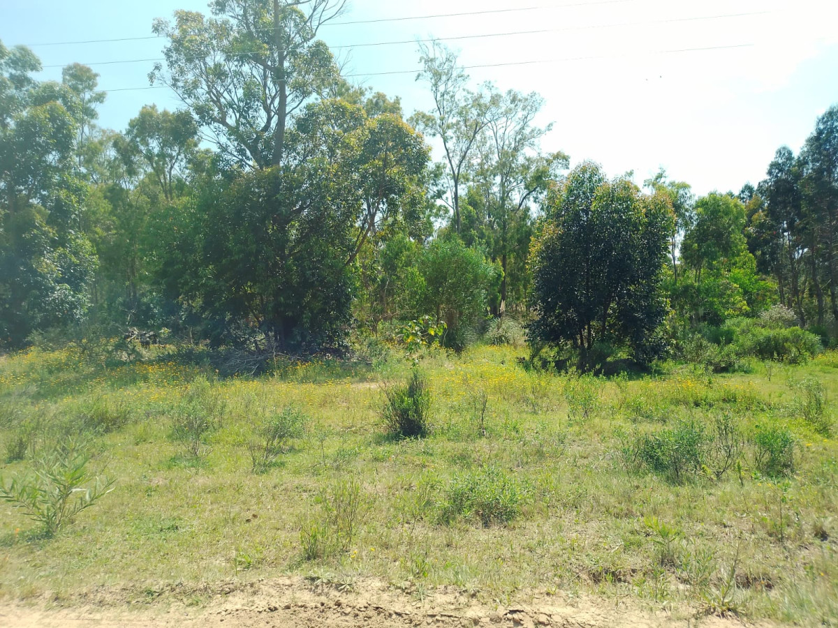 Terreno en La Esmeralda sobre avenida 54.