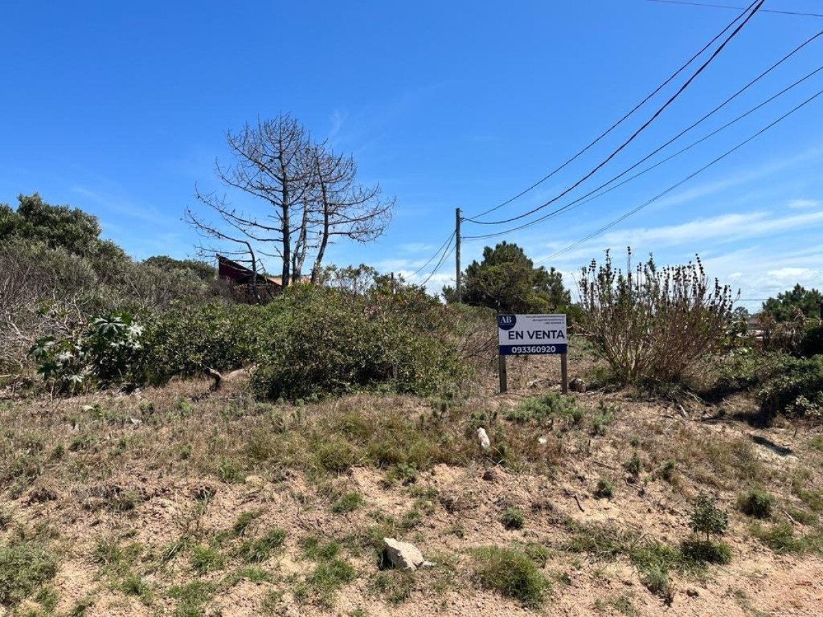 Terreno Esquinero Elevado - Playa La Viuda - Mza 108